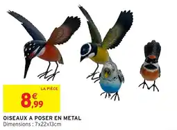 Intermarché Hyper Oiseaux a poser en metal offre