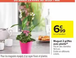 Carrefour Market Muguet 2 griffes avec plante offre