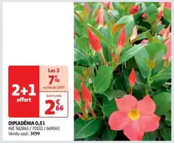 Auchan Dipladenia 0,5 L offre
