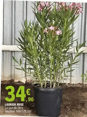E.Leclerc Laurier rose offre