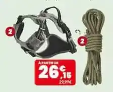 Animalis A partir de cuisine offre