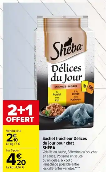 Sachet Fraîcheur Délices Du Jour Pour Chat