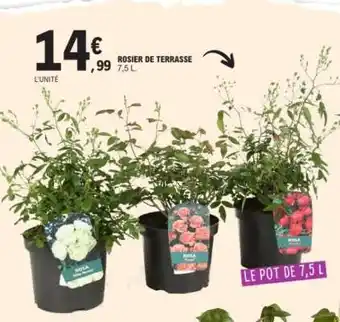 E.Leclerc ROSIER DE TERRASSE offre