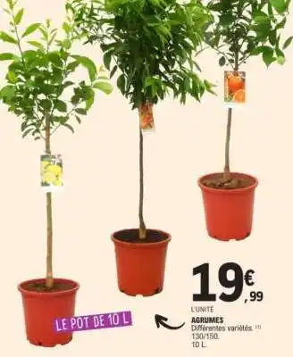 E.Leclerc Agrumes offre