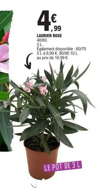E.Leclerc Laurier rose offre