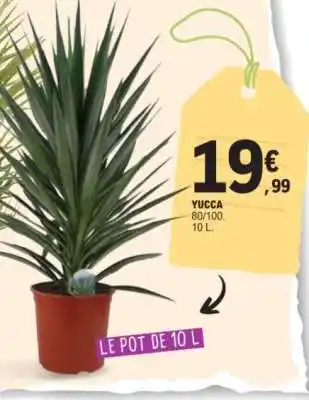 E.Leclerc YUCCA offre