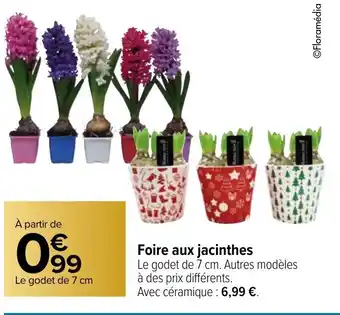 Carrefour Foire Aux Jacinthes offre