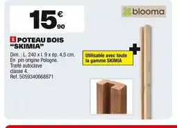 Brico Dépôt Poteau bois skimia offre