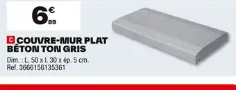 Brico Dépôt Couvre-mur plat béton ton gris offre
