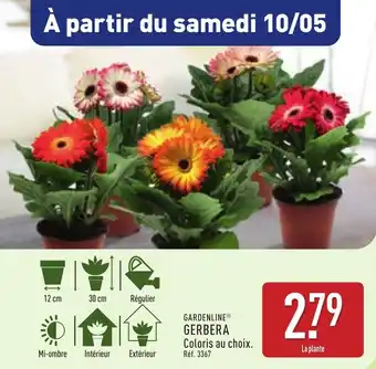 ALDI Gerbera offre