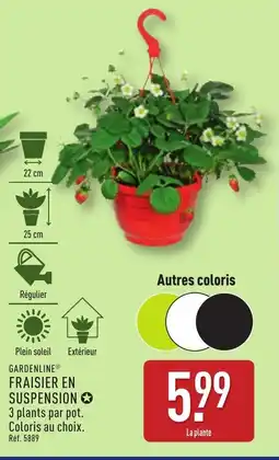 ALDI Fraisier en suspension offre
