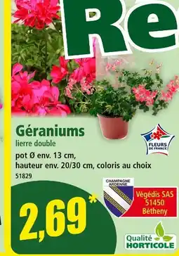 Norma Géraniums offre