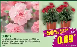 Norma Œillets offre