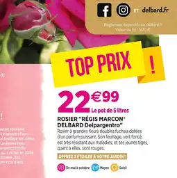 Delbard DELBARD ROSIER RÉGIS MARCON DELBARD Delpargentro offre