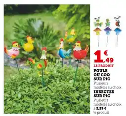 Hyper U Poule ou Coq sur Pic offre