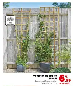Hyper U Treillis en pin ht 180 cm offre