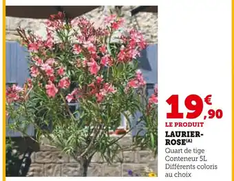 Hyper U Laurier-rose offre