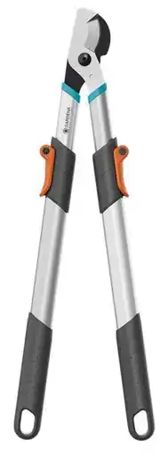 Gamm vert Coupe-branches télescopique TeleCut Basic offre