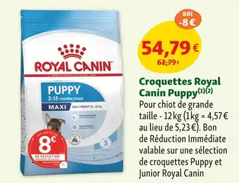 Maxi Zoo Royal Canin Croquettes Puppy offre
