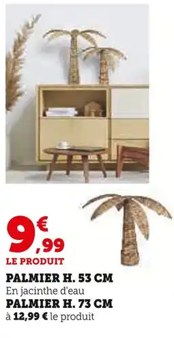 Super U Palmier h. 53 cm offre