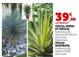 Super U Yucca Jewel et Émilia offre