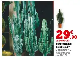 Super U Euphorbe Eritrea offre