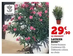 Super U Laurier Rose offre