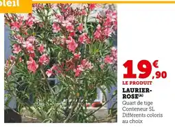 Super U Laurier-rose offre