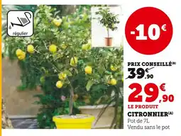 Super U Citronnier offre