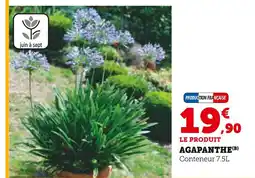 Super U Agapanthe offre