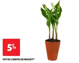 Auchan Supermarché Pot de 3 griffes de muguet offre