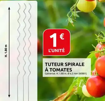 Rural Master Tuteur spirale à tomates offre