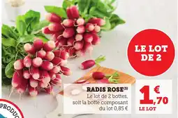 Bi1 Radis rose offre