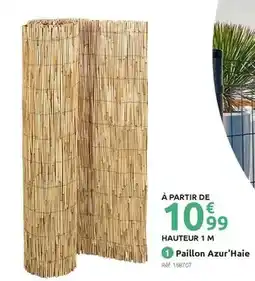 Mr Bricolage Paillon azur'hai offre