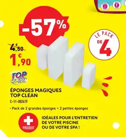 Cash Piscines Ăponges magiques top clean offre