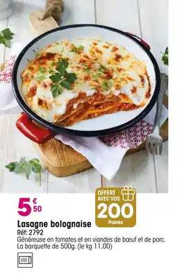 Croque Gel Lasagne bolognaise offre