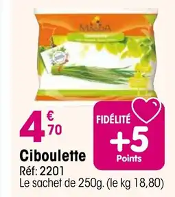 Croque Gel Ciboulette offre