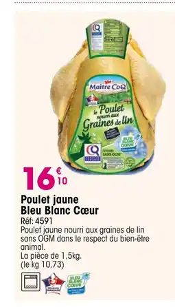 Croque Gel Poulet jaune Bleu Blanc Cœur offre