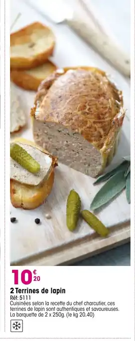 Croque Gel 2 Terrines de lapin offre