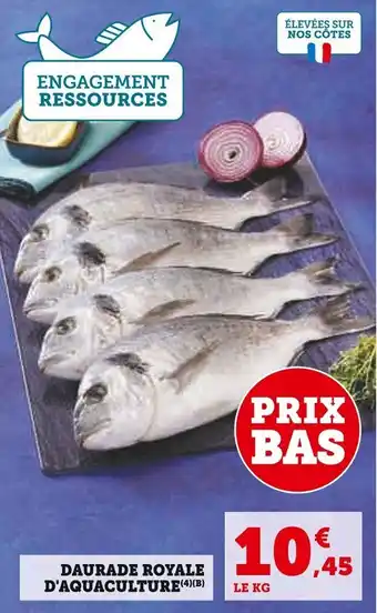Super U Daurade royale d'aquaculture offre