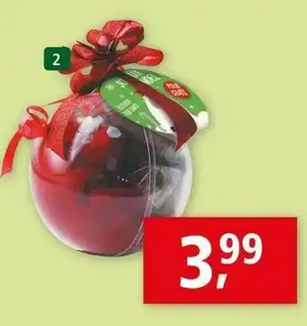 Maxi Zoo Boule cadeau pour chat offre