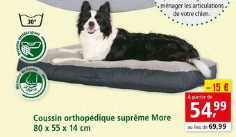 Coussin orthopédique suprême more