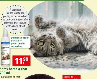 Maxi Zoo Spray herbe à chat 200 ml offre