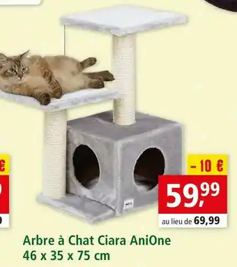 Maxi Zoo Anione arbre à chat ciara offre