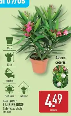 ALDI GARDENLINE LAURIER ROSE offre
