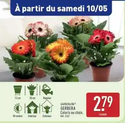ALDI GARDENLINE GERBERA offre