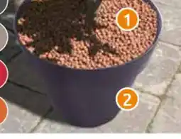 Rural Master EDA 2 pot roméo offre