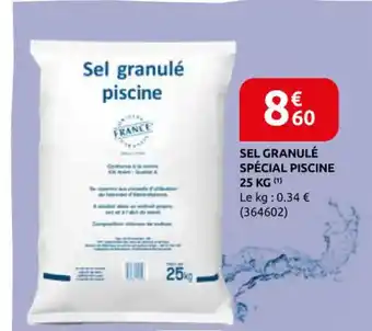 Rural Master Sel granulé spécial piscine offre