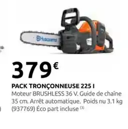 Rural Master Pack tronçonneuse 225 l offre