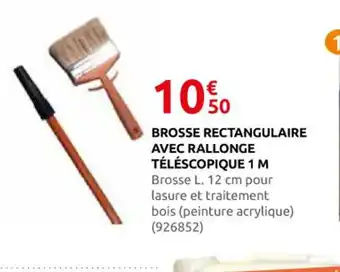 Rural Master Brosse rectangulaire avec rallonge téléscopique 1 m offre